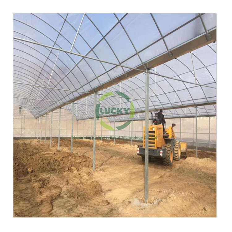 Raised Garden Bed Agriculture Lights Mushroom Grow System Greenhouse With Construction Engineering