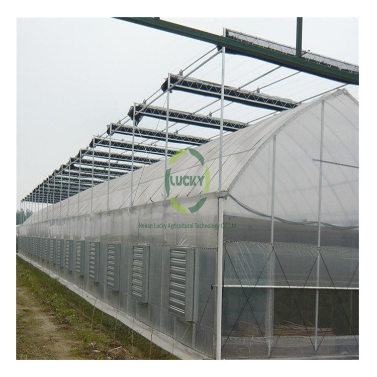 Raised Garden Bed Agriculture Lights Mushroom Grow System Greenhouse With Construction Engineering