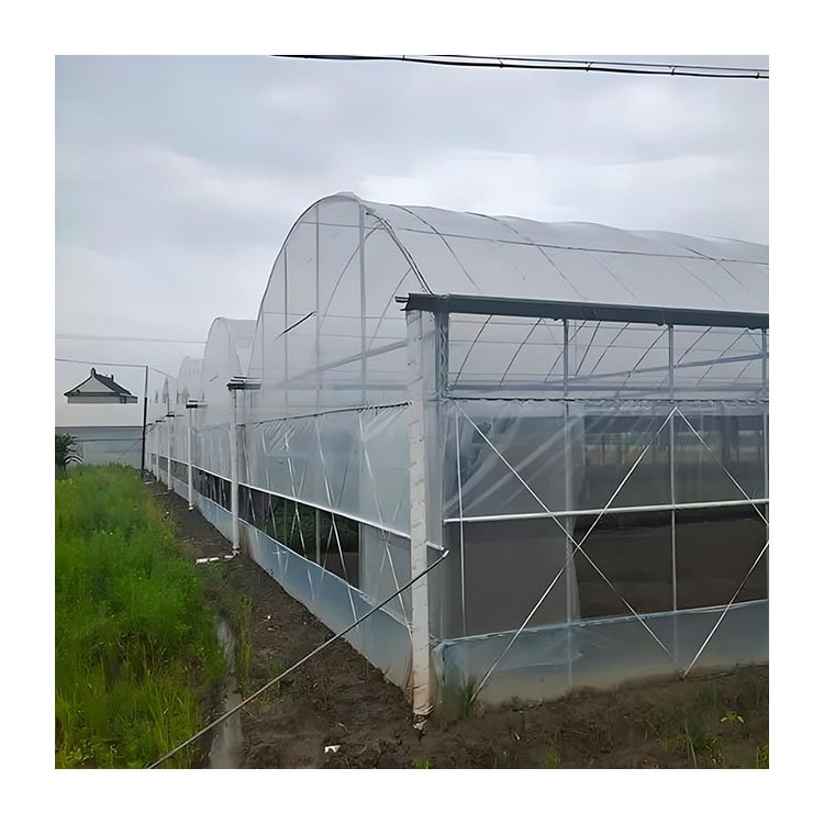 Agricultural greenhouse film multi-tunnel agricultural greenhouse vegetable multi-span greenhouse