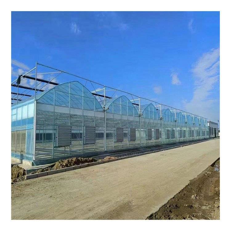 Agricultural greenhouse film multi-tunnel agricultural greenhouse vegetable multi-span greenhouse