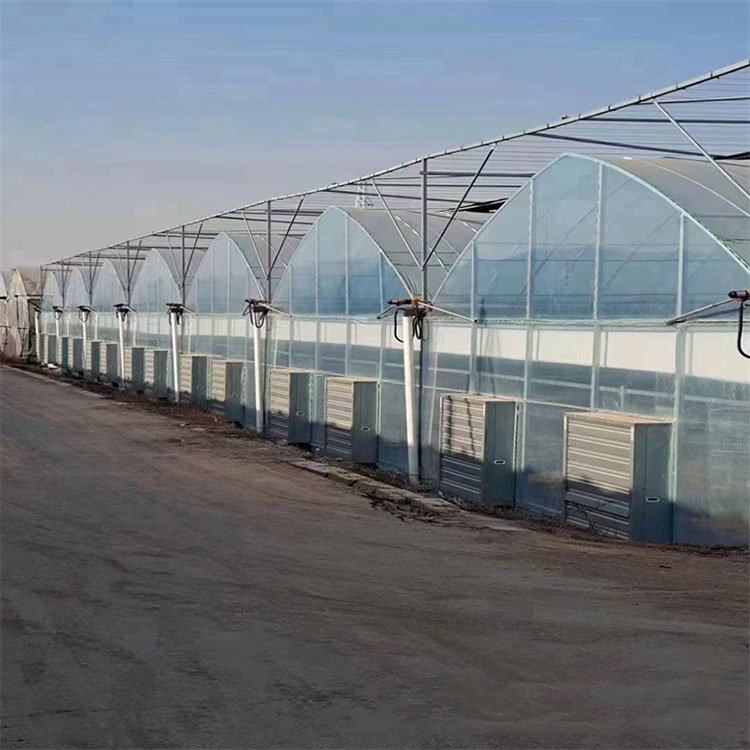 Agricultural greenhouse film multi-tunnel agricultural greenhouse vegetable multi-span greenhouse