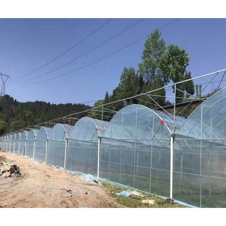 Agricultural greenhouse film multi-tunnel agricultural greenhouse vegetable multi-span greenhouse