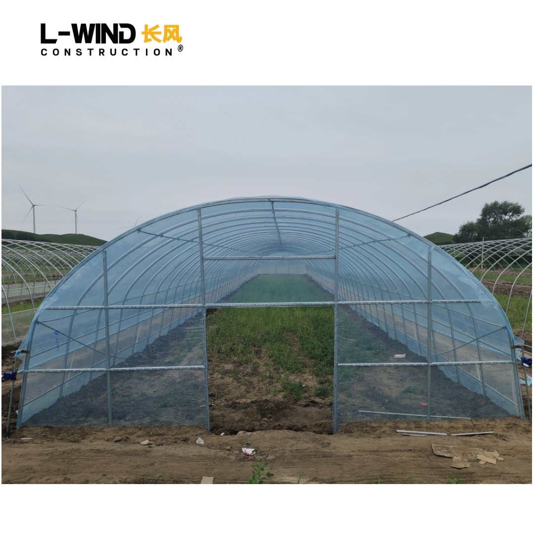 Vegetables Farming Film Plastic Single Span Tunnel Agriculture Greenhouse Hoop House