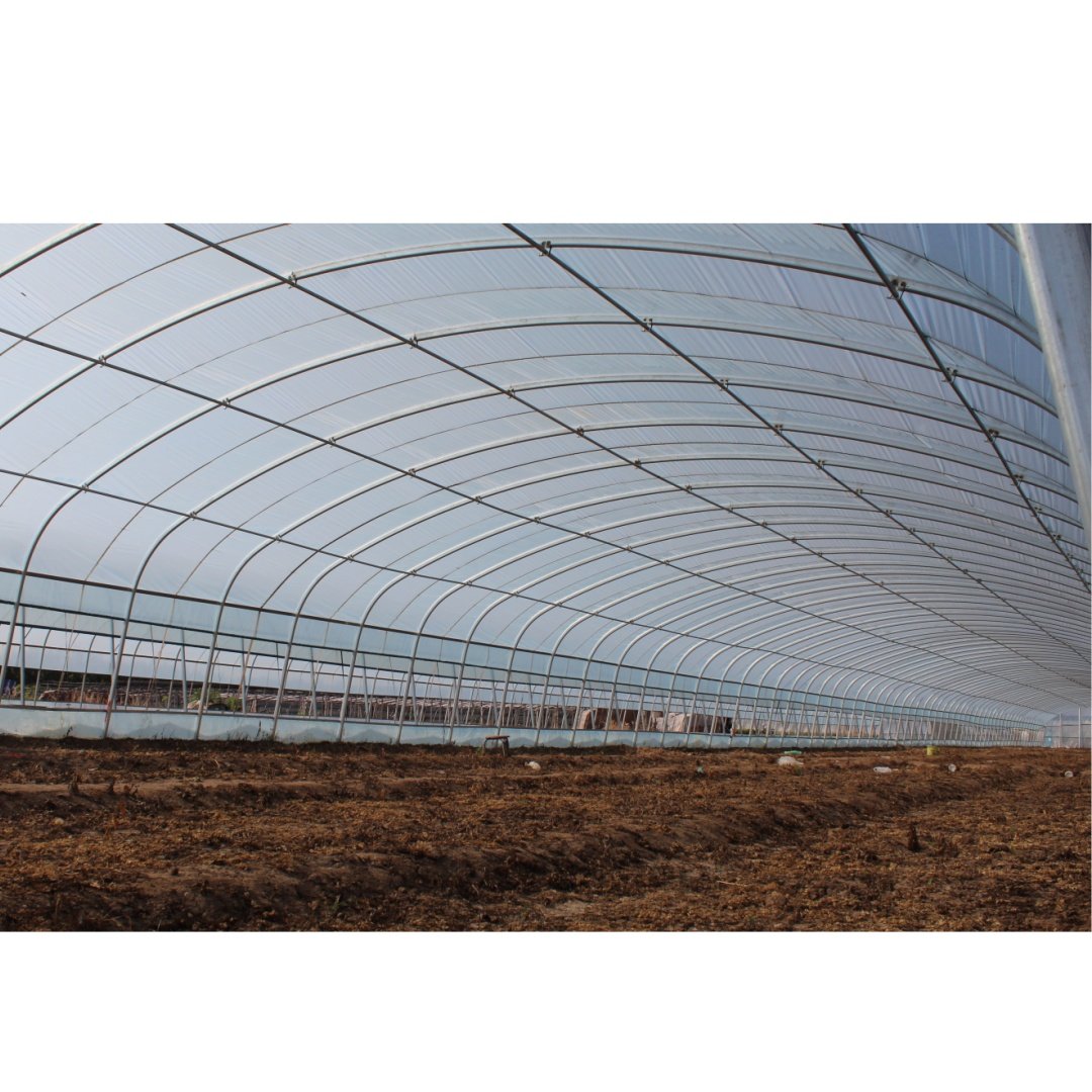 Vegetables Farming Film Plastic Single Span Tunnel Agriculture Greenhouse Hoop House