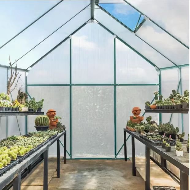 outdoor agricultural greenhouse plant growing house tent hothouse walk-in garden greenhouse