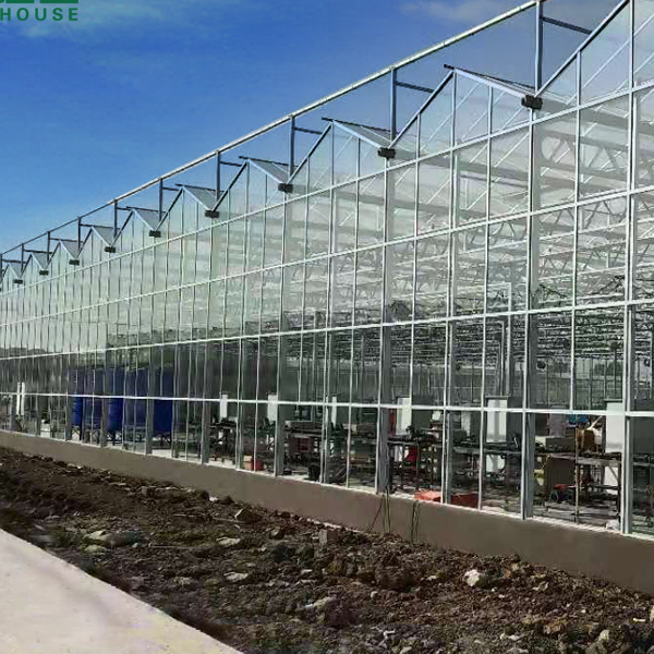 green house Agriculture Greenhouse with Hydroponic System for Sales