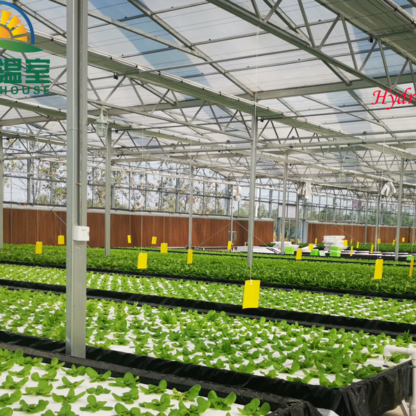 green house Agriculture Greenhouse with Hydroponic System for Sales
