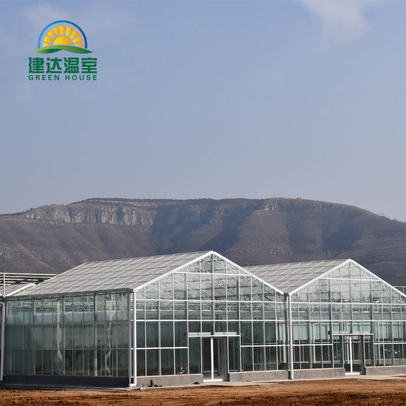 green house Agriculture Greenhouse with Hydroponic System for Sales