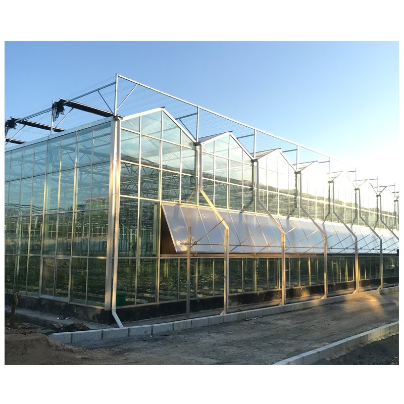 green house Agriculture Greenhouse with Hydroponic System for Sales