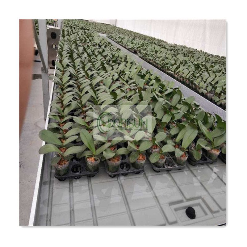 Agricultural Movable Flood Drain Seedbed Planting Ebb And Flow Rolling Table Bench Ebb And Flow Rolling Bench With Tray