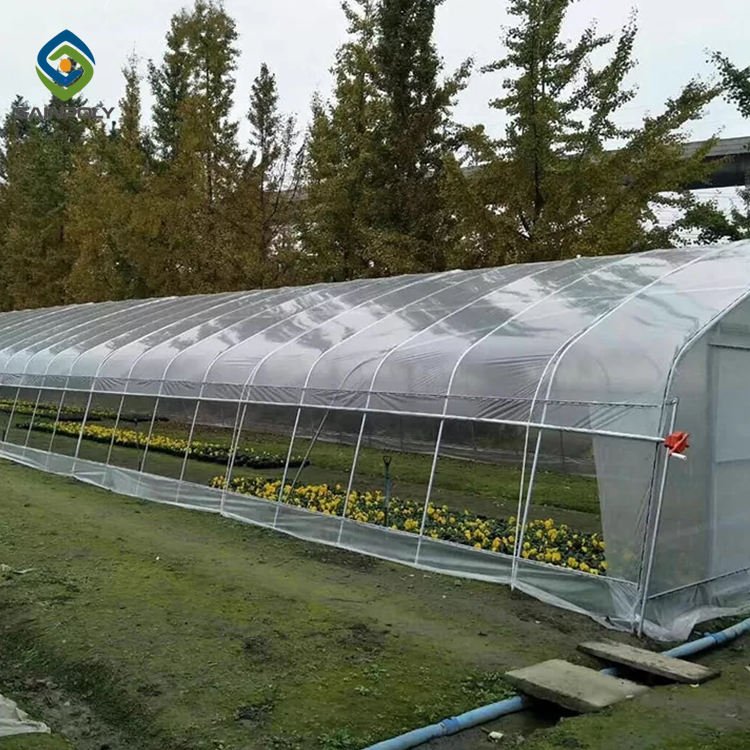 Sainpoly Hot Sale Cheap Agricultural Tunnel Greenhouse Design for Crop Growth