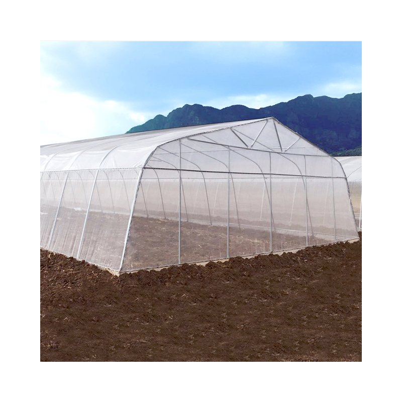 Tomato Greenhouses for Sales agricultural greenhouses