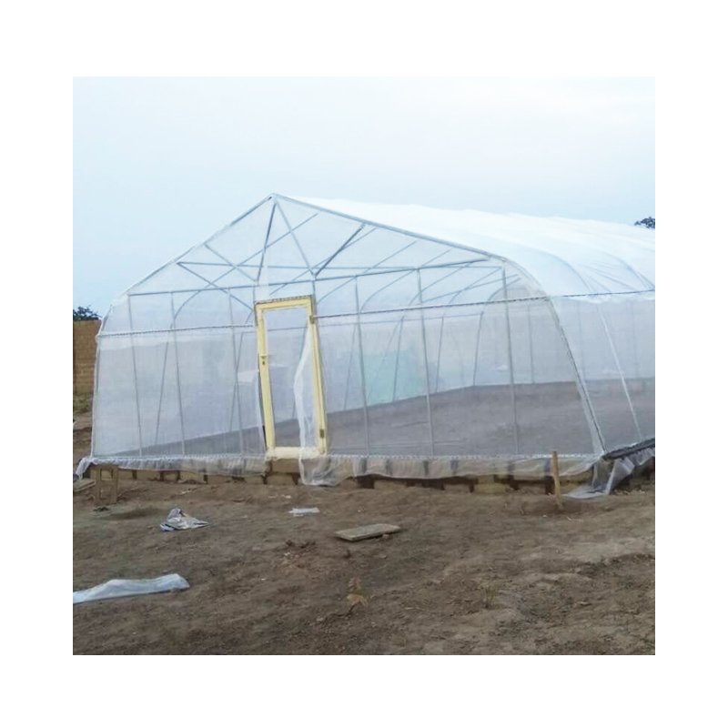 Tomato Greenhouses for Sales agricultural greenhouses