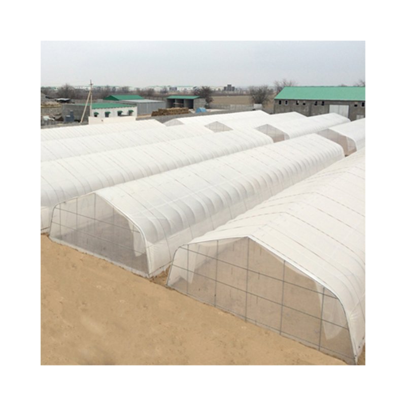 Tomato Greenhouses for Sales agricultural greenhouses