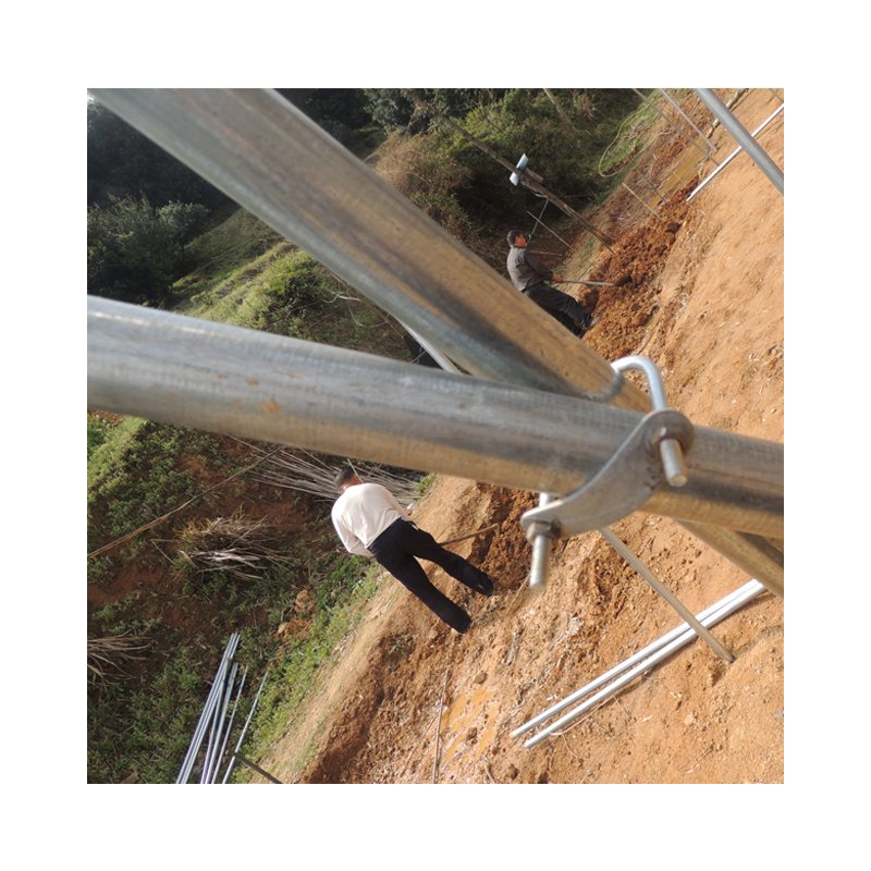 Tomato Greenhouses for Sales agricultural greenhouses
