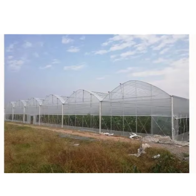 High Quality Steel Structure Greenhouse Tunnel Long-Life Square Tube Design for Agriculture Durable Plastic Material Plant Usage