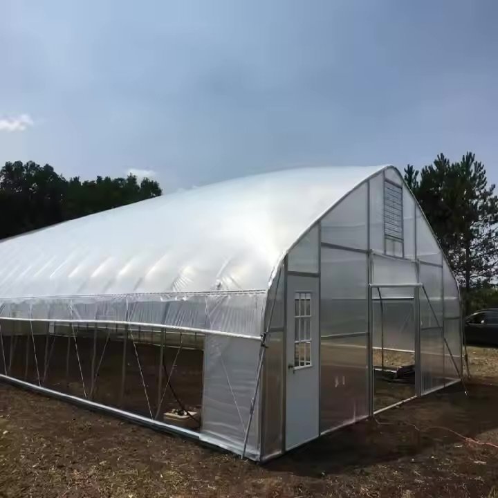 cheap agriculture farm greenhouse high grade Thailand 3hp industrial commercial greenhouse 2000m2 green house metal frame