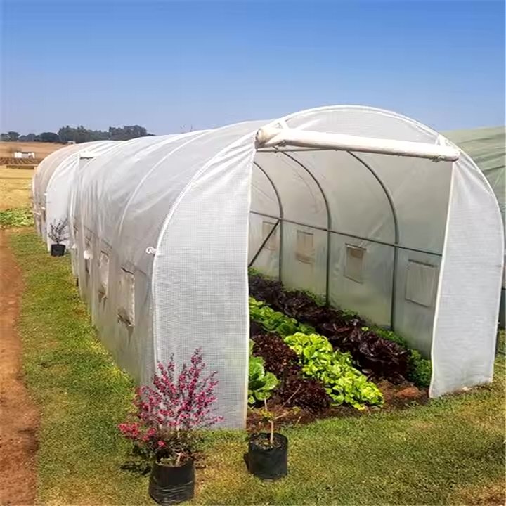 cheap agriculture farm greenhouse high grade Thailand 3hp industrial commercial greenhouse 2000m2 green house metal frame