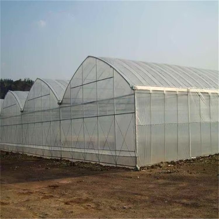 cheap agriculture farm greenhouse high grade Thailand 3hp industrial commercial greenhouse 2000m2 green house metal frame