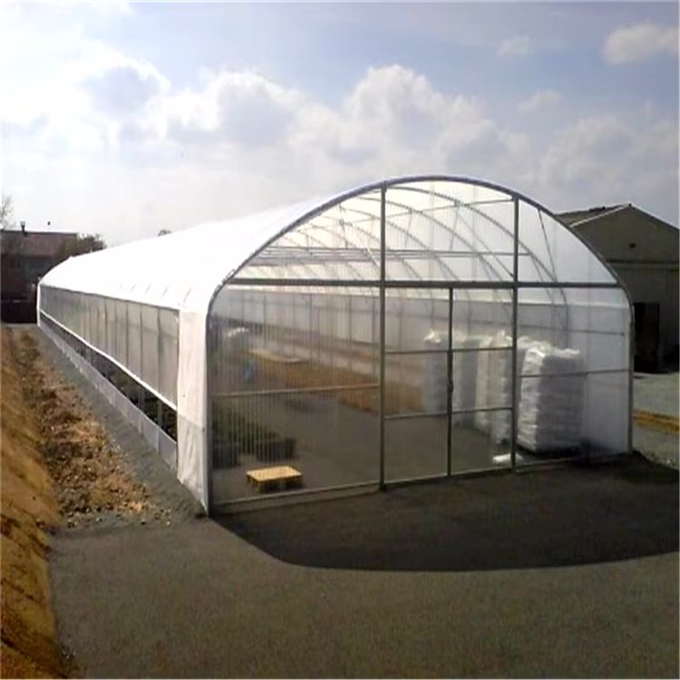 cheap agriculture farm greenhouse high grade Thailand 3hp industrial commercial greenhouse 2000m2 green house metal frame