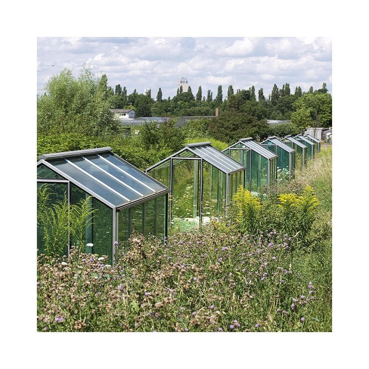 Best design metal frame backyard orangery greenhouse garden agricultural aluminium flower Greenhouse