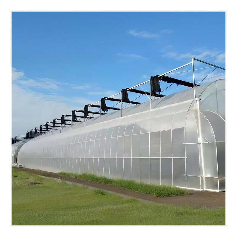 Low Cost frame plastic film agricultural greenhouse film for Tunnel Greenhouse
