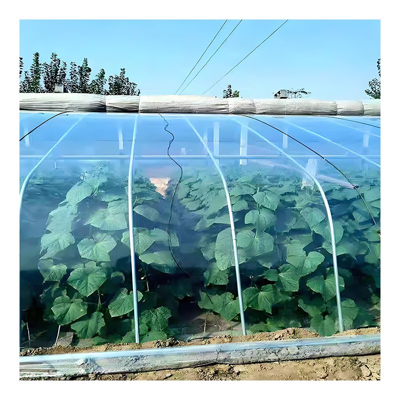 Low Cost frame plastic film agricultural greenhouse film for Tunnel Greenhouse