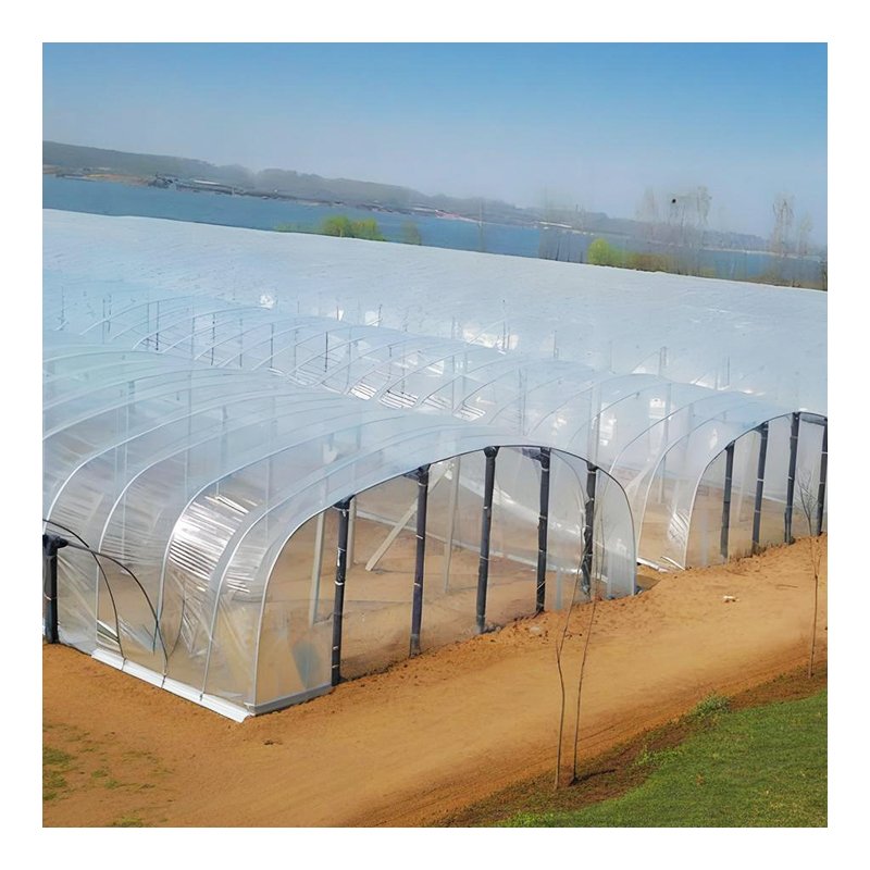 Low Cost frame plastic film agricultural greenhouse film for Tunnel Greenhouse
