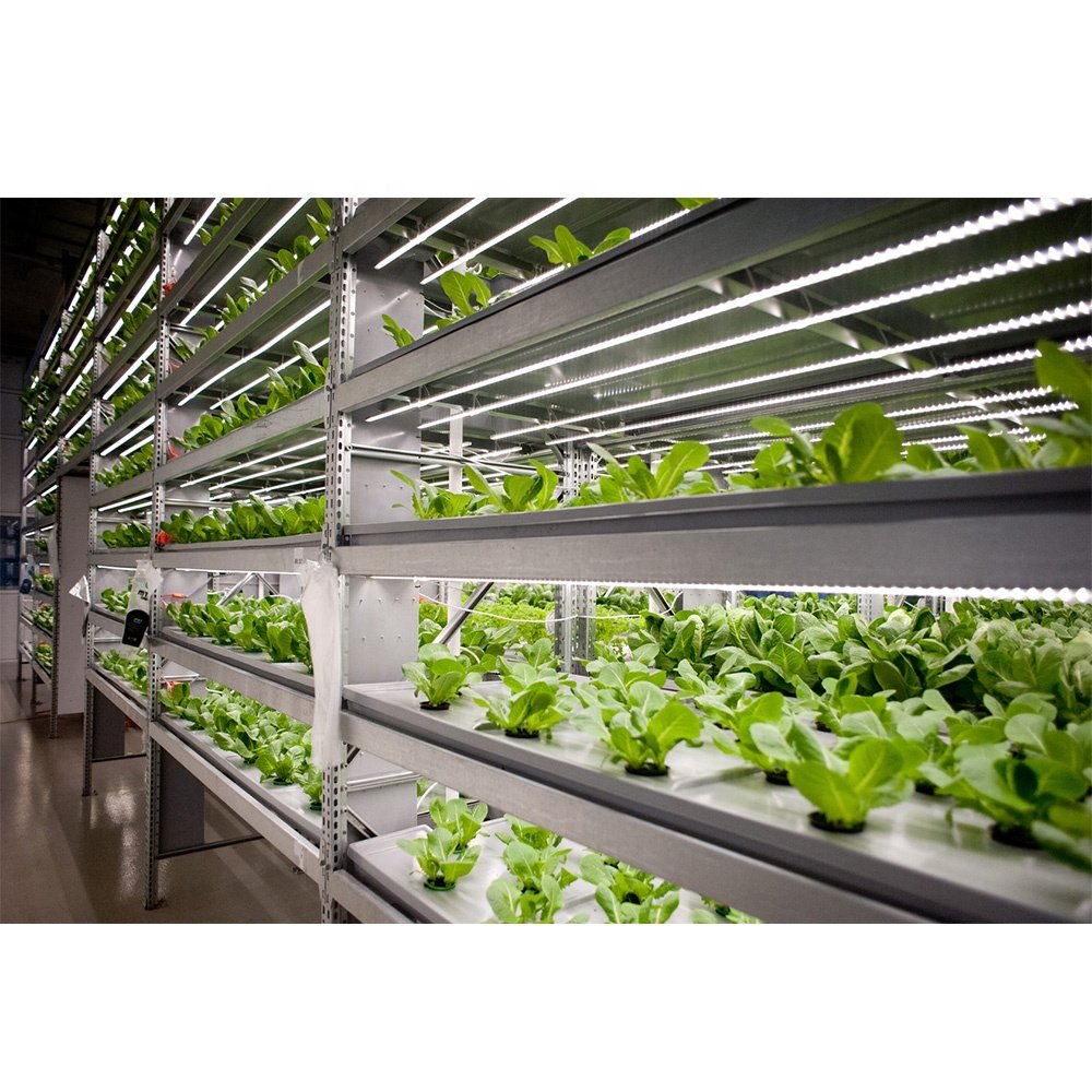 Agricultural Hydroponic Growing Systems Greenhouse Farming NFT Pipes Pvc Customize Plant Growing Aquaponic Large Green House