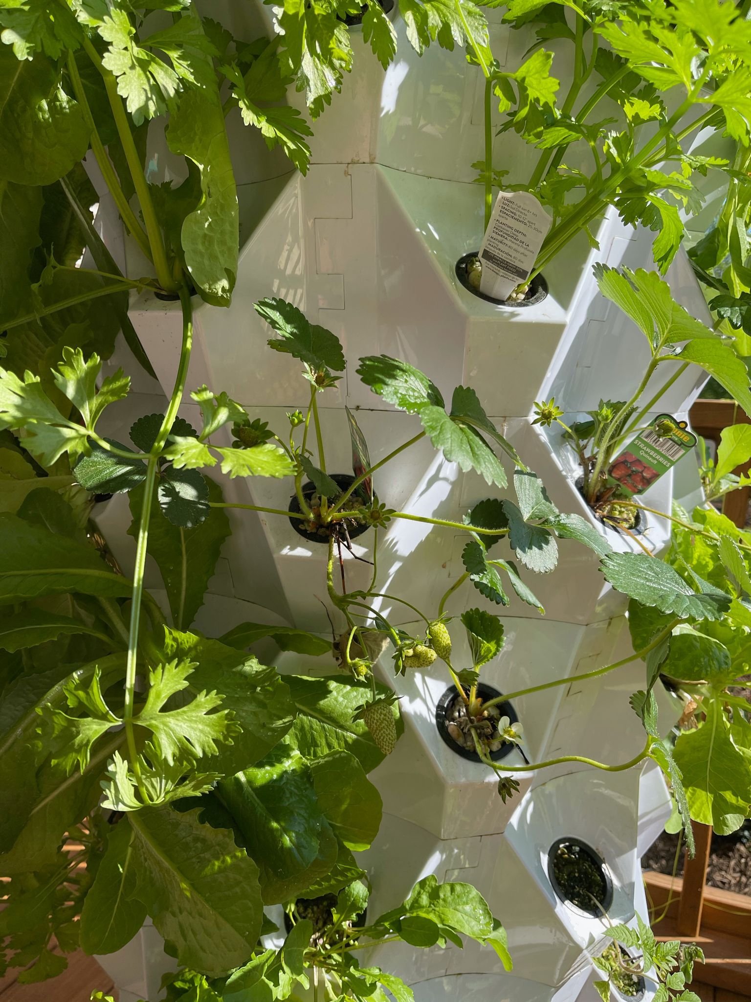 Gro -Dro New Agricultural Greenhouse aeroponic tower garden small hydroponic grow tower