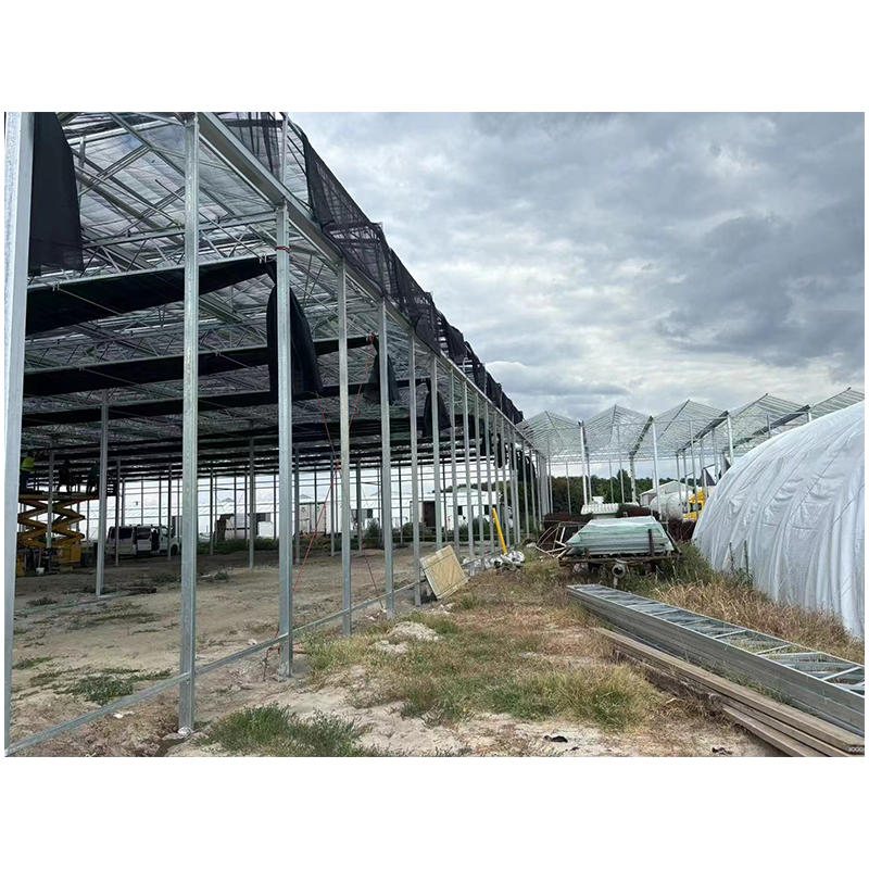 High Efficiency Large Multi-Span Glass Agricultural Greenhouse