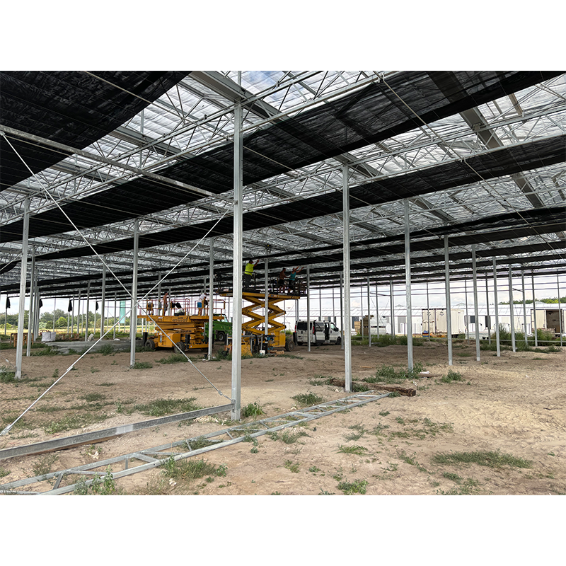 High Efficiency Large Multi-Span Glass Agricultural Greenhouse