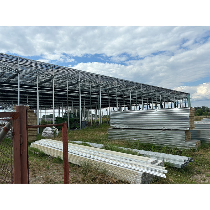 High Efficiency Large Multi-Span Glass Agricultural Greenhouse
