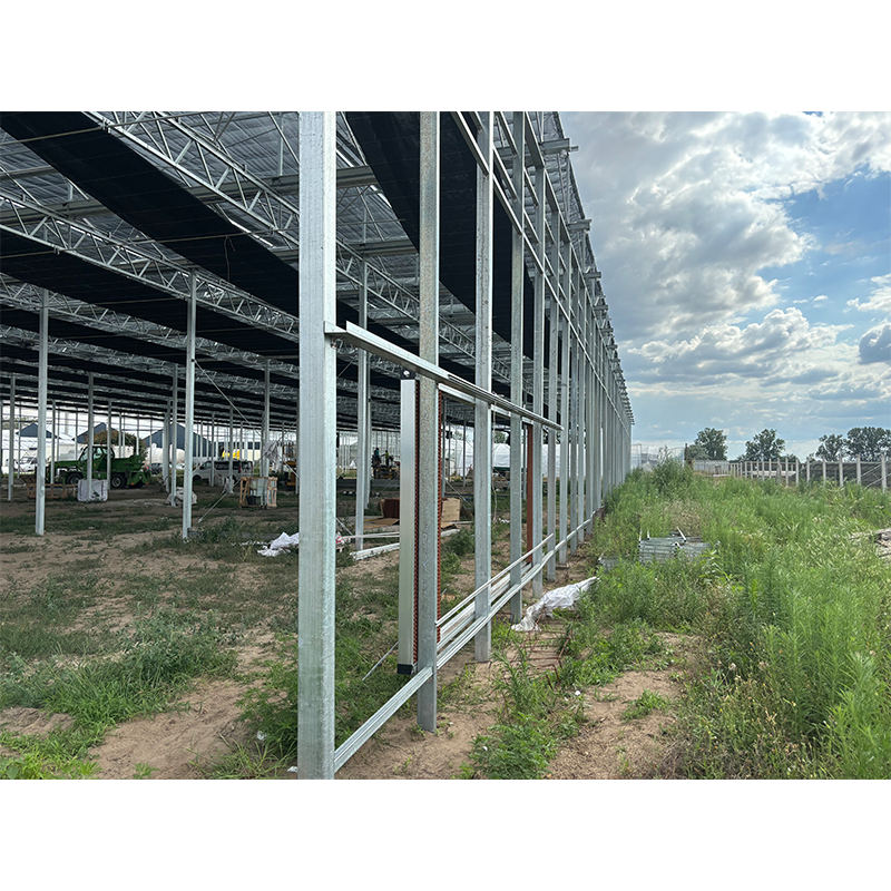 High Efficiency Large Multi-Span Glass Agricultural Greenhouse