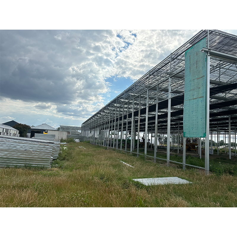 High Efficiency Large Multi-Span Glass Agricultural Greenhouse