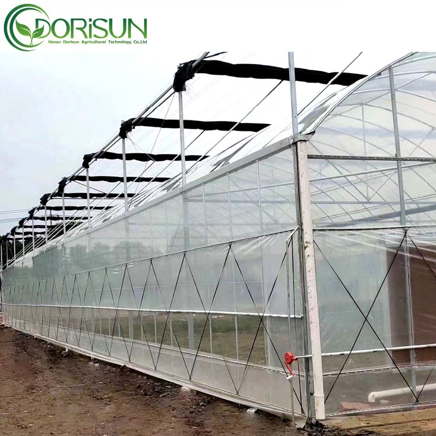Large Multi-span Garden Green House Agricultural Greenhouses With Hydroponic System