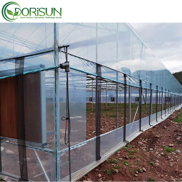 Large Multi-span Garden Green House Agricultural Greenhouses With Hydroponic System