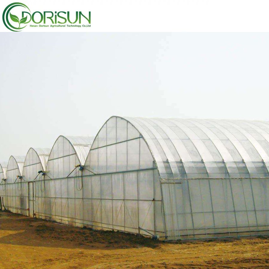 Large Multi-span Garden Green House Agricultural Greenhouses With Hydroponic System