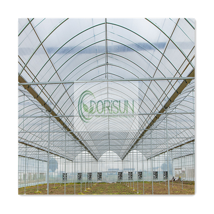 Large Multi-span Garden Green House Agricultural Greenhouses With Hydroponic System