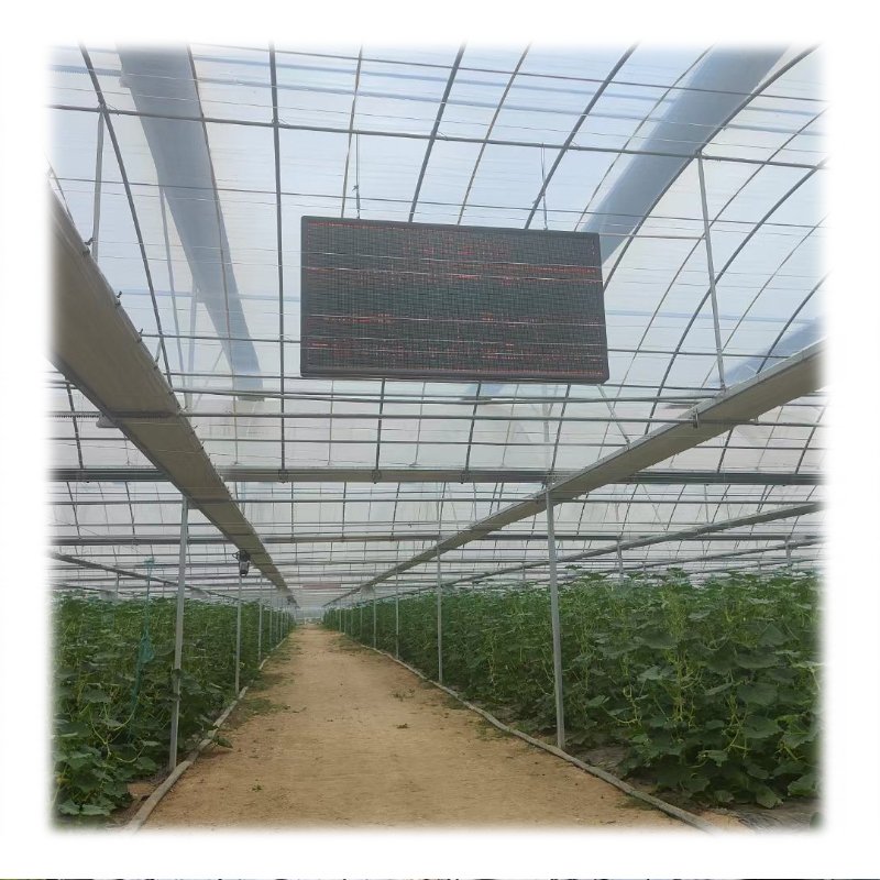 Agricultural Greenhouse Anti Ground Cover For Control Plastic quality eco-friendly waterproof garden greenhouse