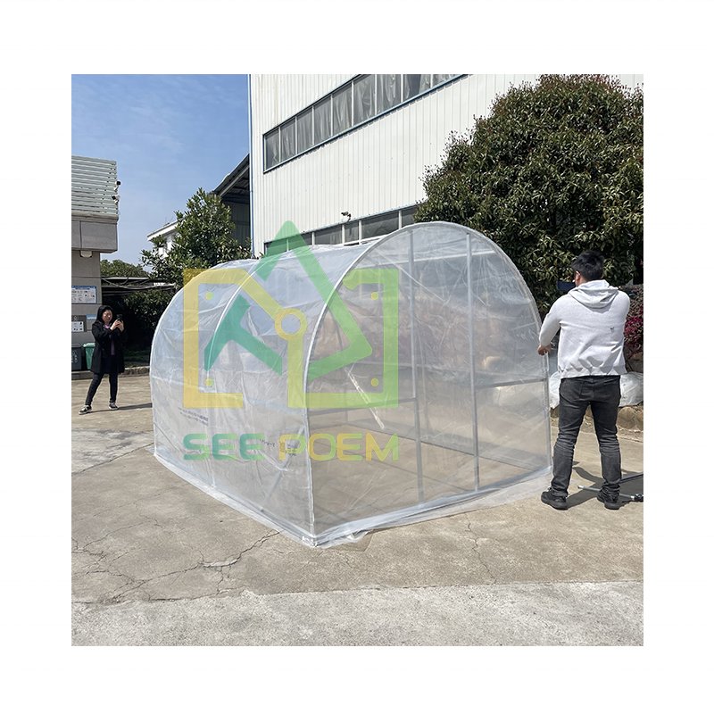 Agricultural single tunnel arch plastic film PC sheet Greenhouse for vegetables and fruits