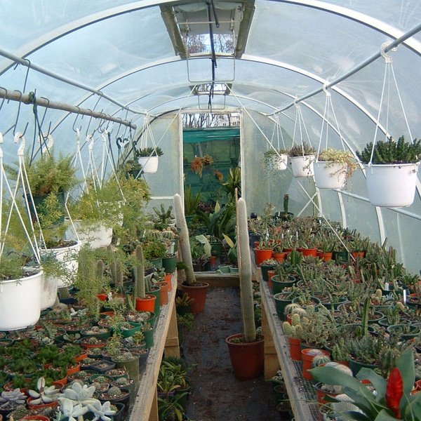 Agricultural single tunnel arch plastic film PC sheet Greenhouse for vegetables and fruits