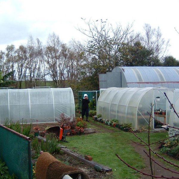 Agricultural single tunnel arch plastic film PC sheet Greenhouse for vegetables and fruits