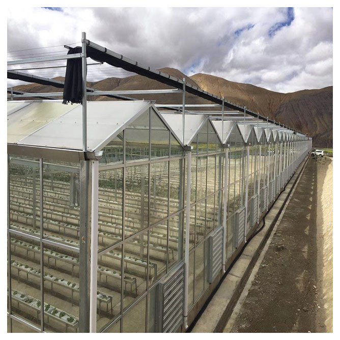Sainpoly agricultural greenhouse glass green house with irrigation&hydroponics equipment