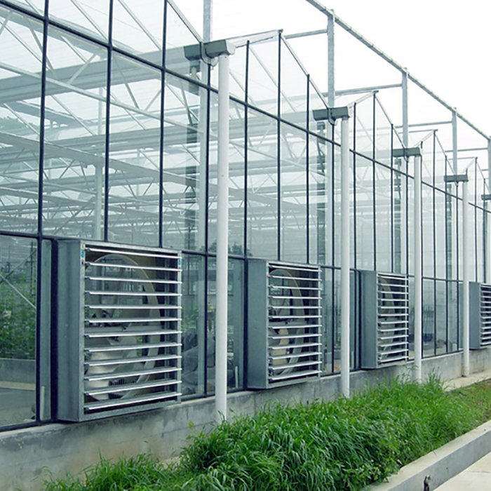 Sainpoly agricultural greenhouse glass green house with irrigation&hydroponics equipment