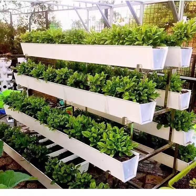 Planting trough greenhouses hydroponic greenhouses strawberry greenhouses