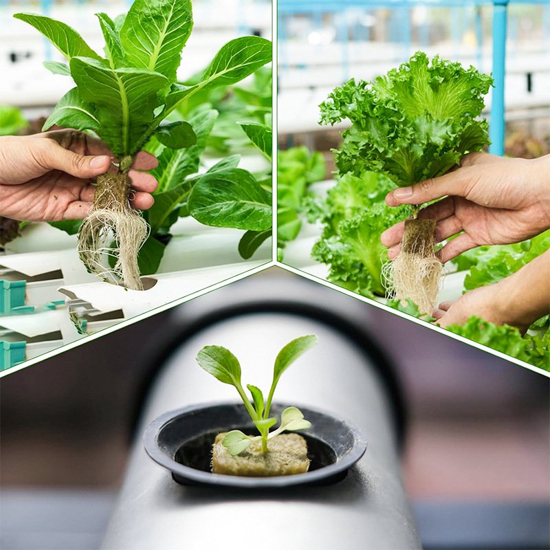 New agricultural greenhouse rock wool cubes hydroponic grow for garden vertical hydroponic system