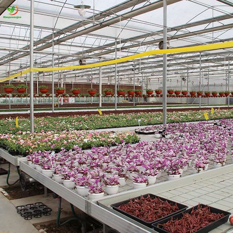 large plastic 4 by 8 flood trays 2x4 for hydroponic , greenhouse letuce parsley plants nursery