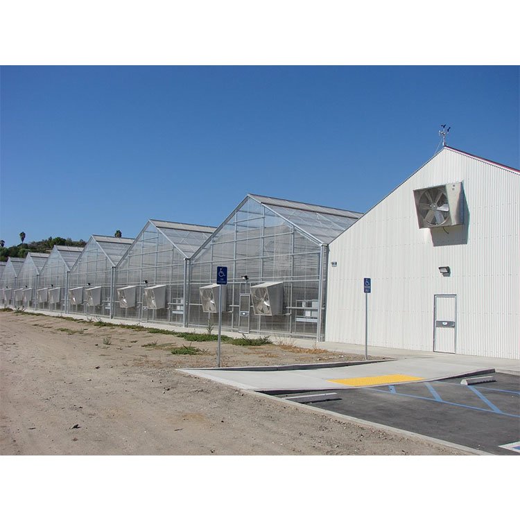 4-8m Customization Height Agricultural Greenhouse Multi-Span Polycarbonate Greenhouse With Hydroponics System