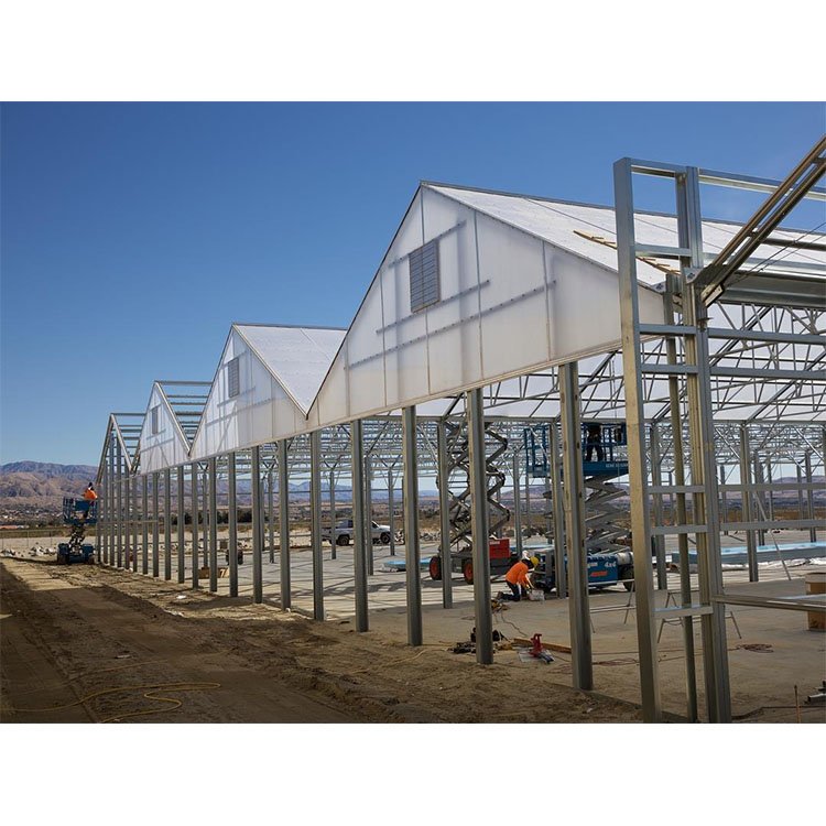 4-8m Customization Height Agricultural Greenhouse Multi-Span Polycarbonate Greenhouse With Hydroponics System